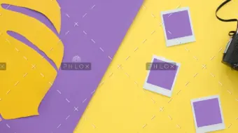 demo-attachment-38-retro-camera-and-mockup-photos-PBGDPCN